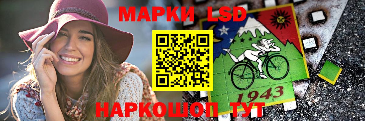 Альфа ПВП Обнинск