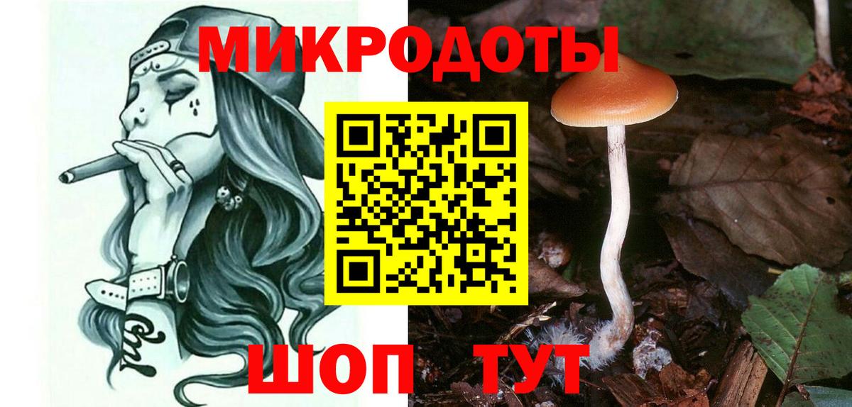 Псилоцибиновые грибы Psilocybine cubensis  Вход с VPN  Обнинск 